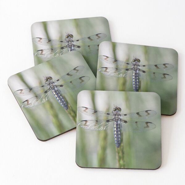 Item preview, Dragonfly designed and sold by AriArch.