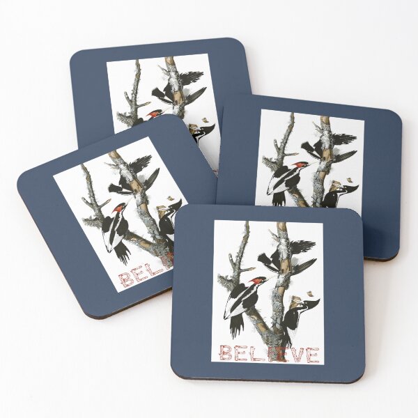 Item preview, Ivory-billed Woodpecker - Believe   	 designed and sold by mglsbdvnvl60.