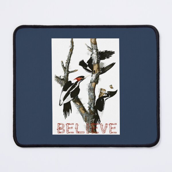 Item preview, Ivory-billed Woodpecker - Believe   	 designed and sold by mglsbdvnvl60.