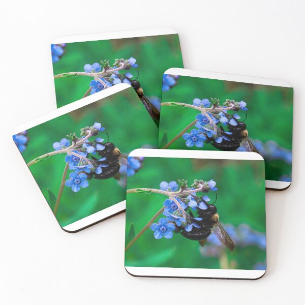 Item preview, Bumblebee on Forget-Me-Not Flowers designed and sold by FirebrandFoxx.