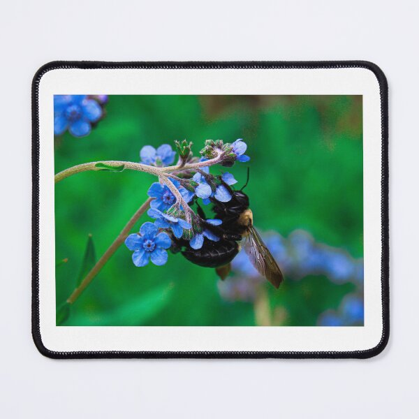 Item preview, Bumblebee on Forget-Me-Not Flowers designed and sold by FirebrandFoxx.