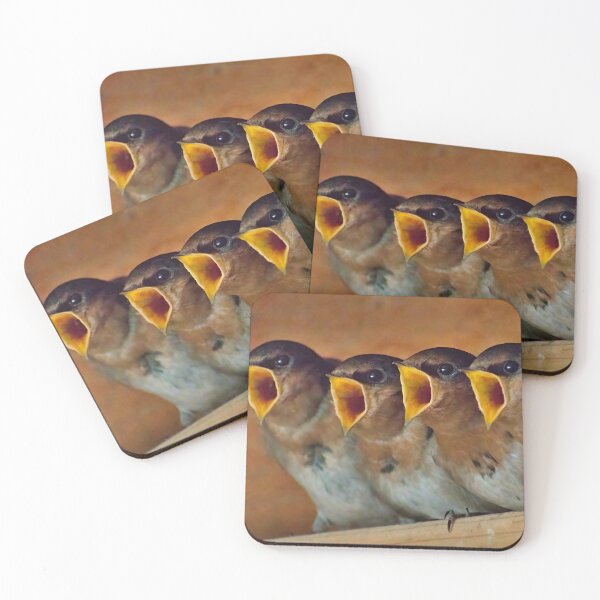 Item preview, Hungry Swallows designed and sold by GiantPaul.