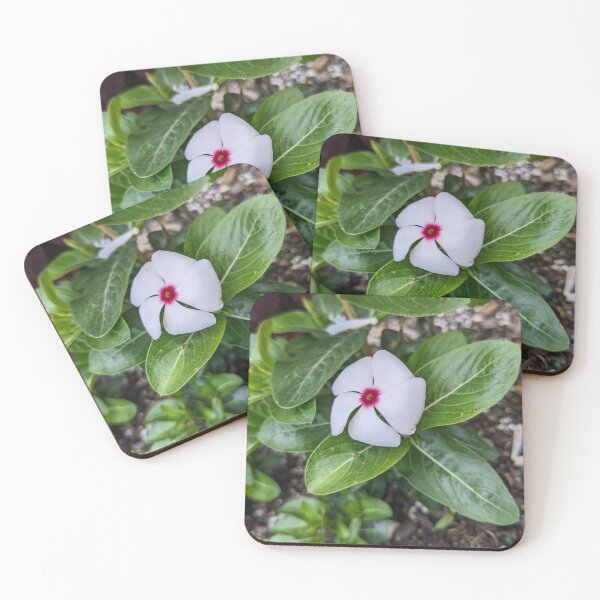 Item preview, Madagascar Periwinkle designed and sold by TheRealDanniX.