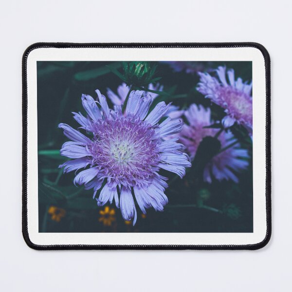 Item preview, Purple Aster designed and sold by FirebrandFoxx.