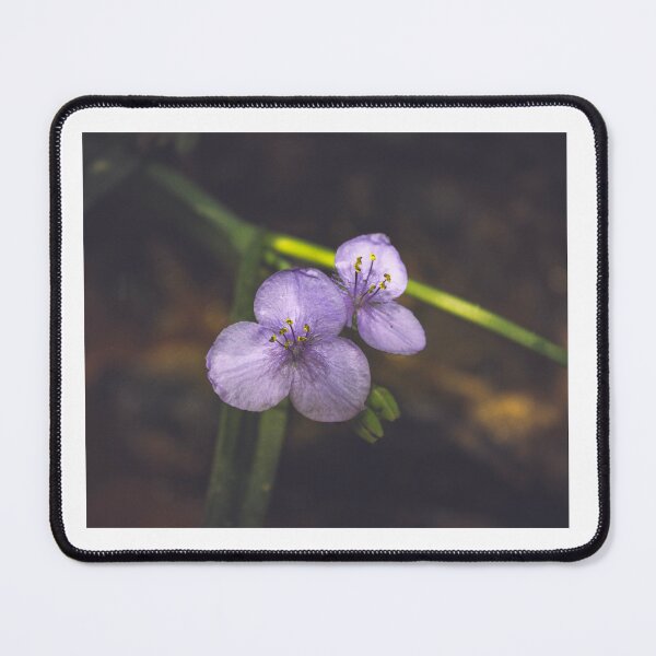 Item preview, Spiderwort designed and sold by FirebrandFoxx.