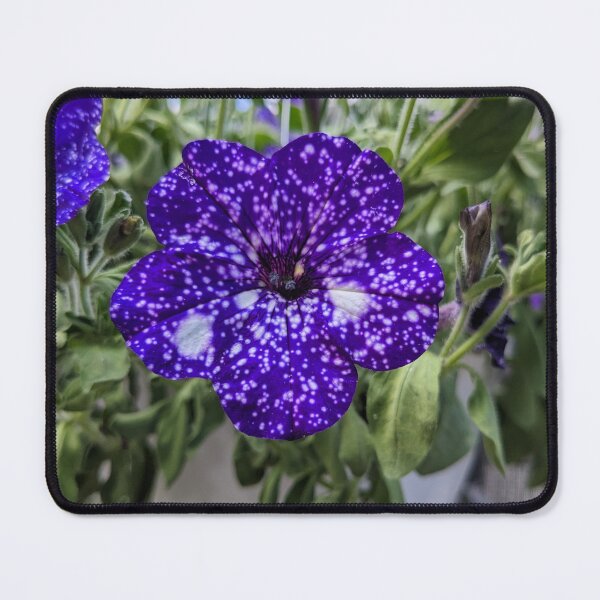 Item preview, Petunia designed and sold by TheRealDanniX.