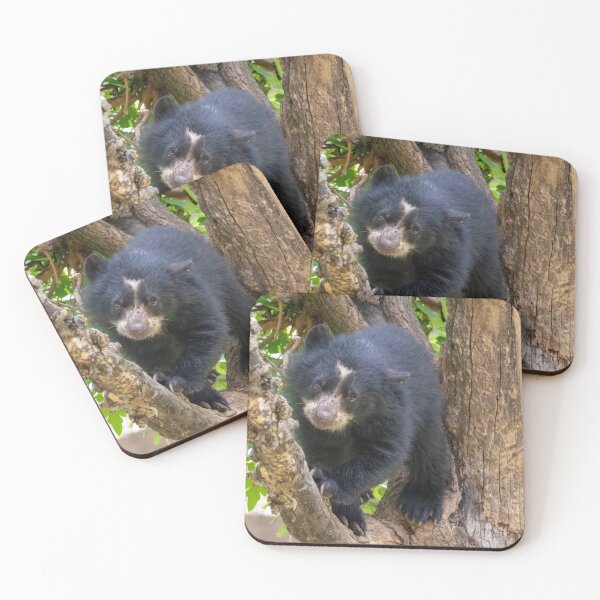 Item preview, Andean Bear Cub at the National Zoo designed and sold by Zoo and Nature Photography by Karie.