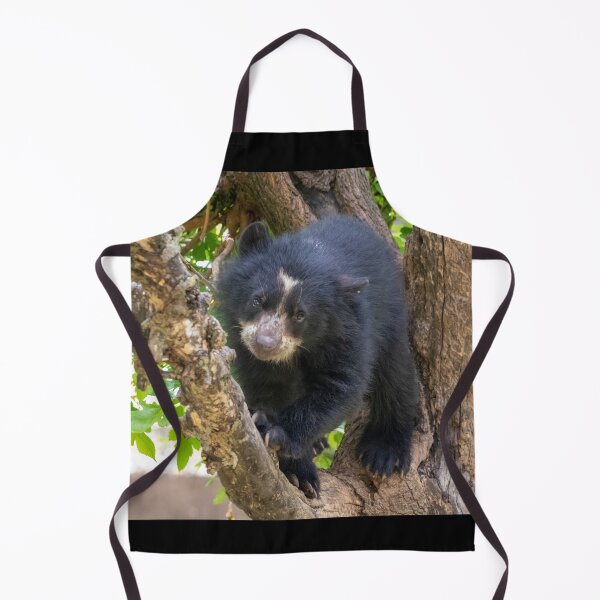 Item preview, Andean Bear Cub at the National Zoo designed and sold by Zoo and Nature Photography by Karie.