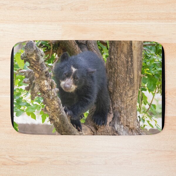 Item preview, Andean Bear Cub at the National Zoo designed and sold by Zoo and Nature Photography by Karie.