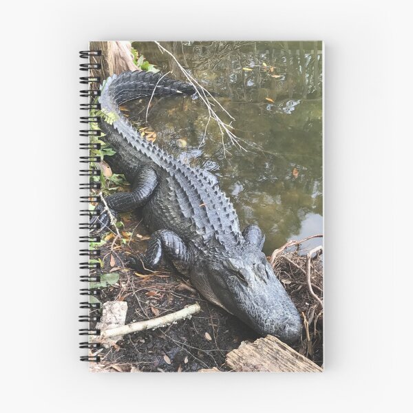 Item preview, Backyard Gator, Charleston designed and sold by Colorcollage.
