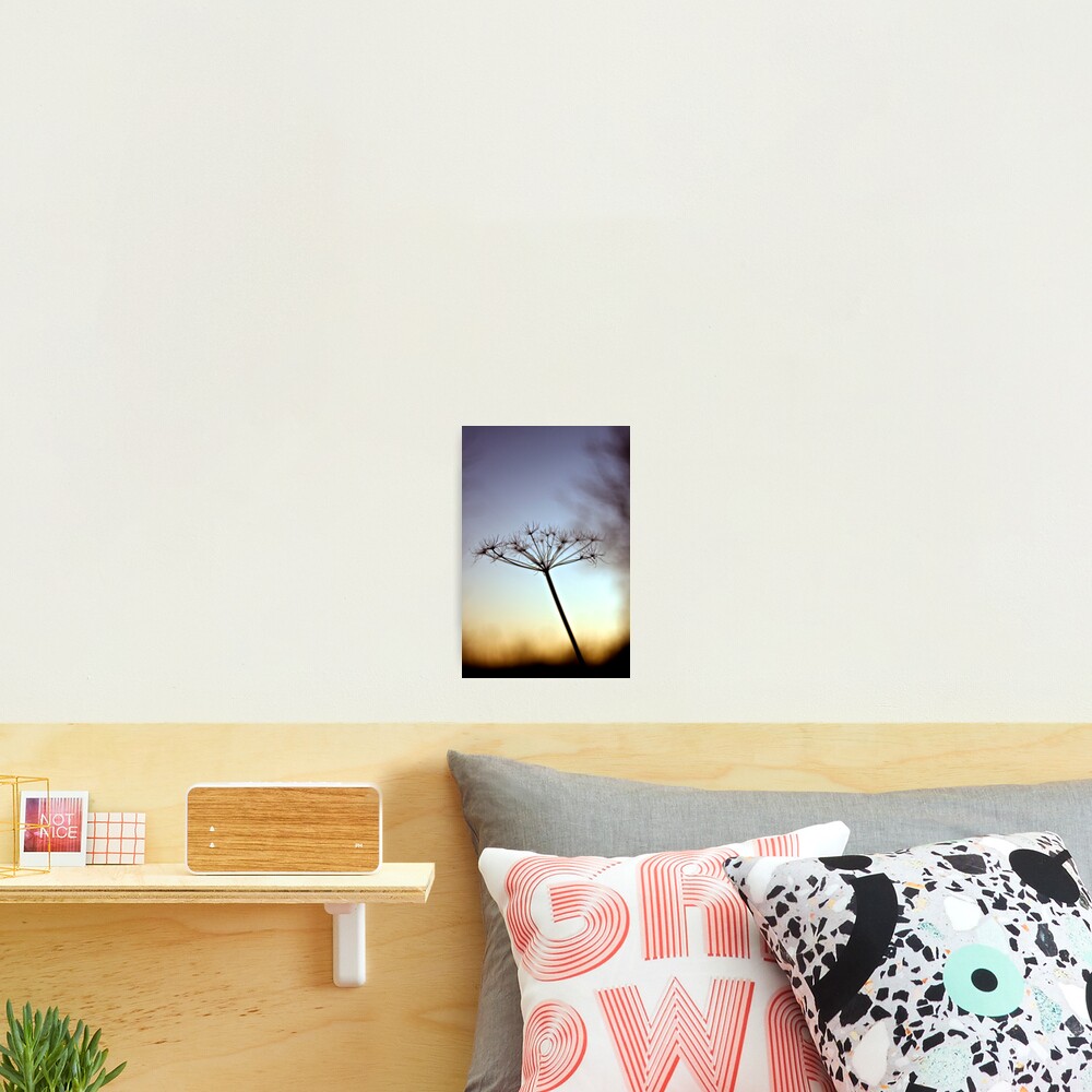 Item preview, Photographic Print designed and sold by jonbaxter.