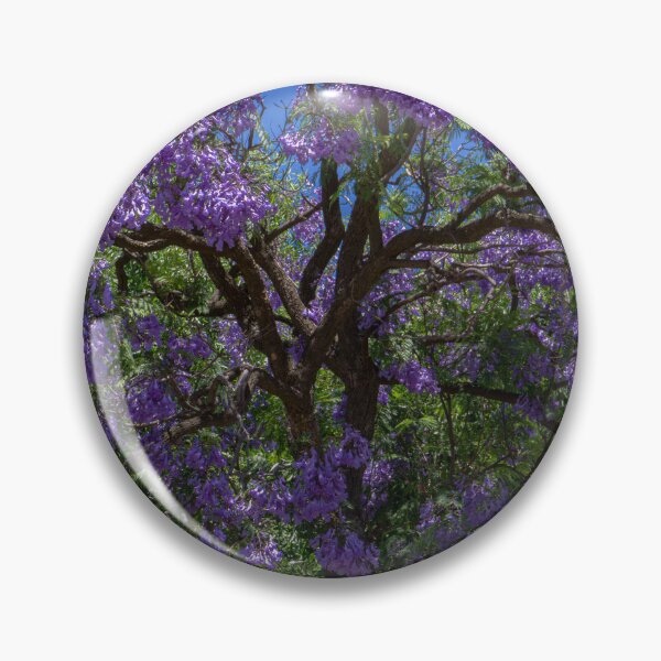 Item preview, Jacaranda Tree Brilliance - Bendigo, Victoria designed and sold by Steven Jodoin.