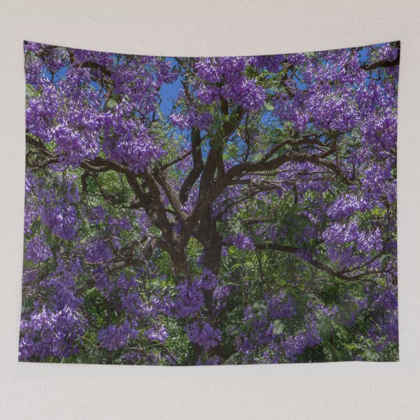 Item preview, Jacaranda Tree Brilliance - Bendigo, Victoria designed and sold by Steven Jodoin.
