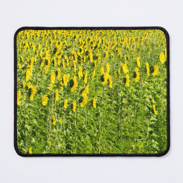 Item preview, Field of Sunflowers from the Backside designed and sold by Georgia Mizuleva.
