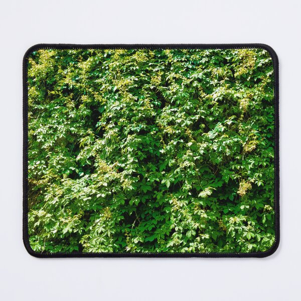 Item preview, Living Wall by Avon Noir 2023 designed and sold by nailsthatglow.