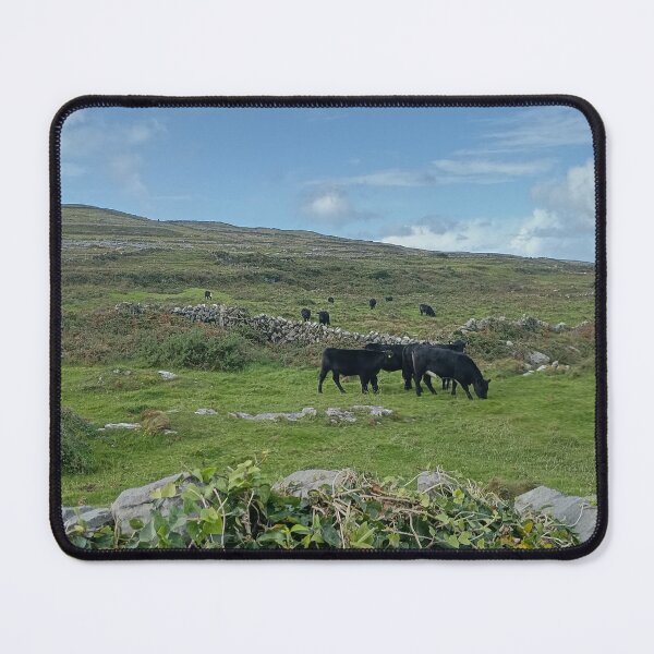 Item preview, Cows of the Aran Islands designed and sold by Phoebe Davenport.