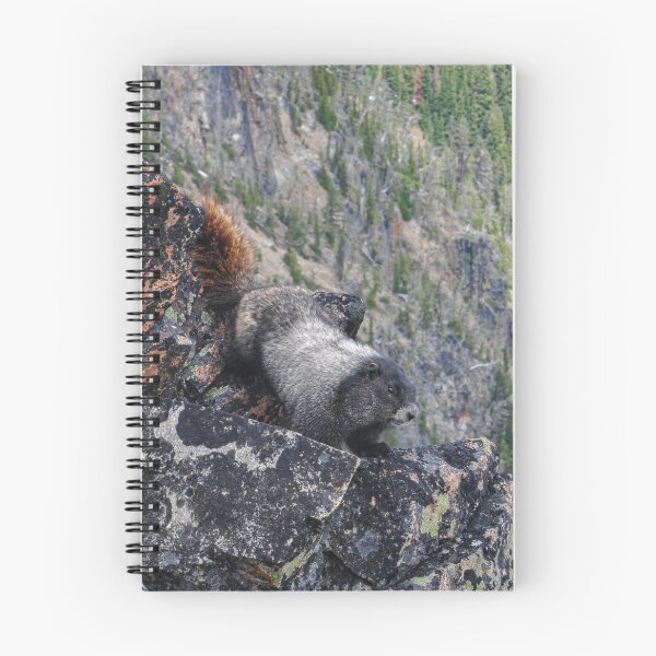 Item preview, Marmot Climber designed and sold by QuickScapes.