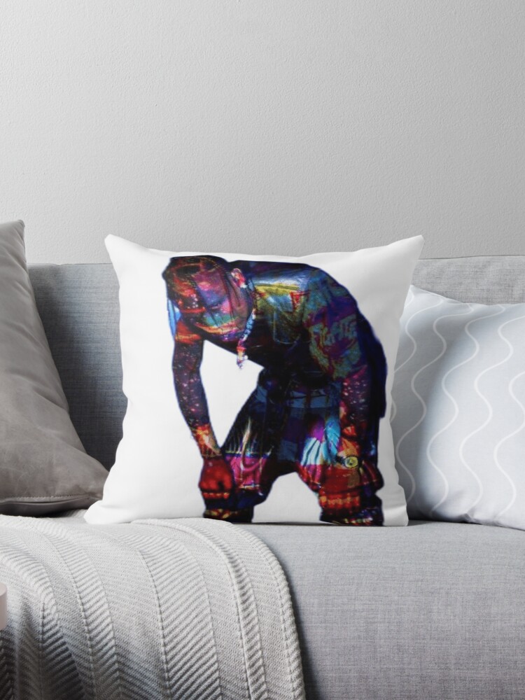 https://ih1.redbubble.net/image.5099863864.9000/throwpillow,small,750x1000-bg,f8f8f8.jpg