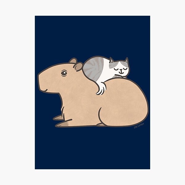 Cutest Capybara Ever, Relaxing Photographic Print for Sale by  recollectionsv