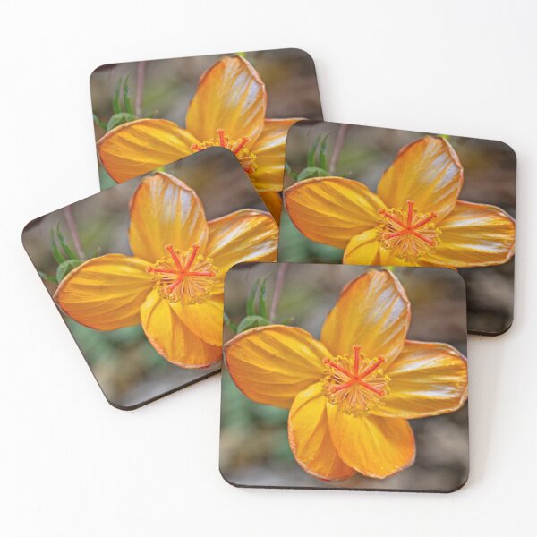 Item preview, Hibiscus kokio saint johnianus designed and sold by Keola Makaiau.