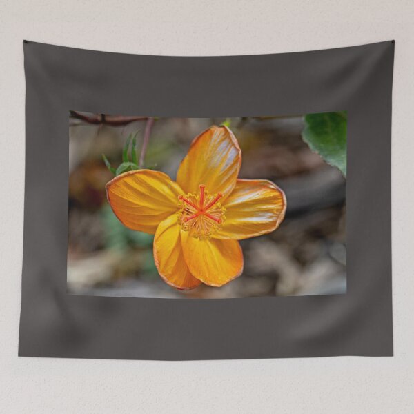 Item preview, Hibiscus kokio saint johnianus designed and sold by Keola Makaiau.