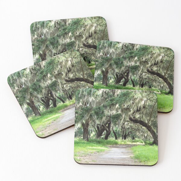 Item preview, Old Florida oaks draped in Spanish moss designed and sold by danaart.