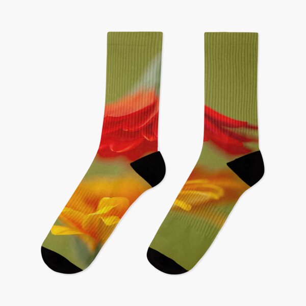 Item preview, Gerbera Daisy designed and sold by assaf.