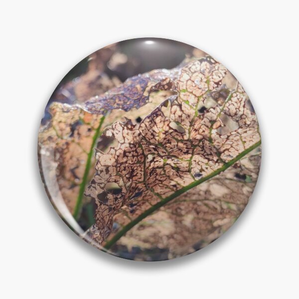 Item preview, Browned leaves under morning light designed and sold by tshuki.