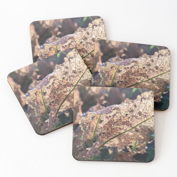 Item preview, Browned leaves under morning light designed and sold by tshuki.