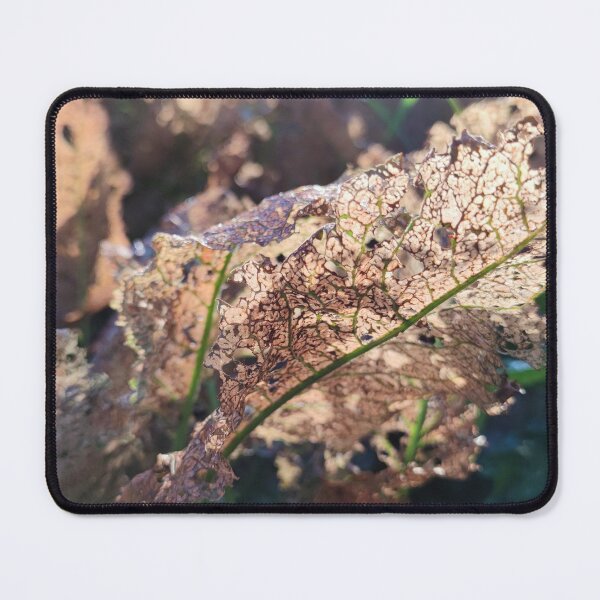 Item preview, Browned leaves under morning light designed and sold by tshuki.