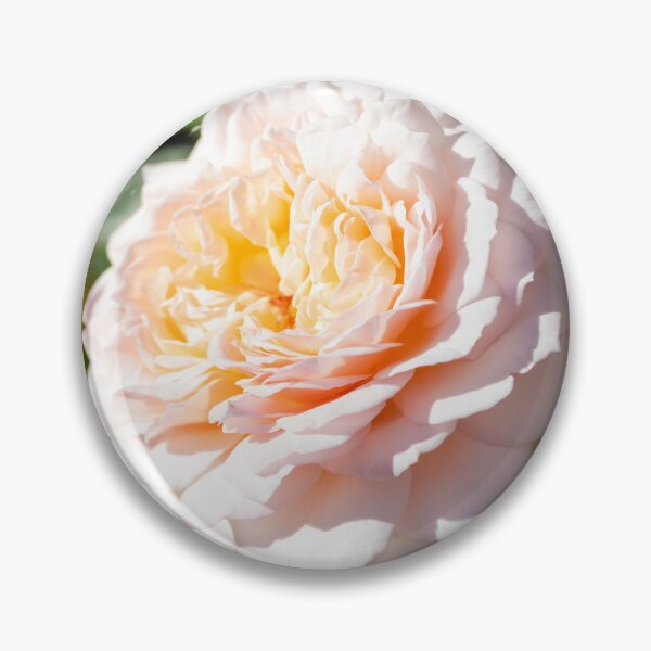 Item preview, English Garden Rose designed and sold by Tanya C  Smith.