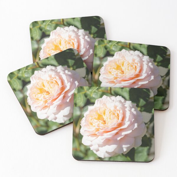 Item preview, English Garden Rose designed and sold by Tanya C  Smith.