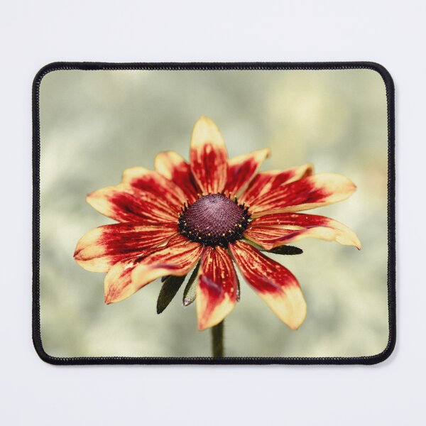 Item preview, Rudbeckia Flower designed and sold by Tanya C  Smith.
