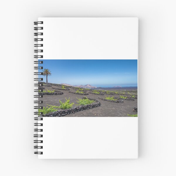 Item preview, Palmera La Geria Lanzarote Viña Bodega Vino Vistas Islas Canarias España designed and sold by SmileMoreAgain.
