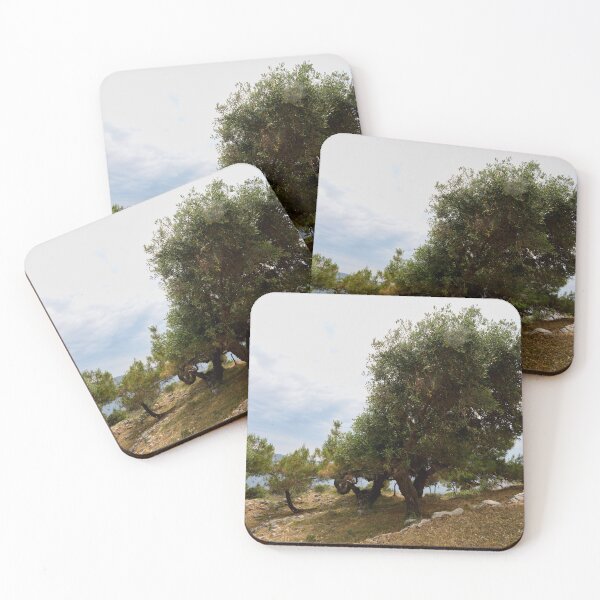 Item preview, Olive trees by the ruins. Thassos 2023 9 designed and sold by Jouko Lehto Photography.