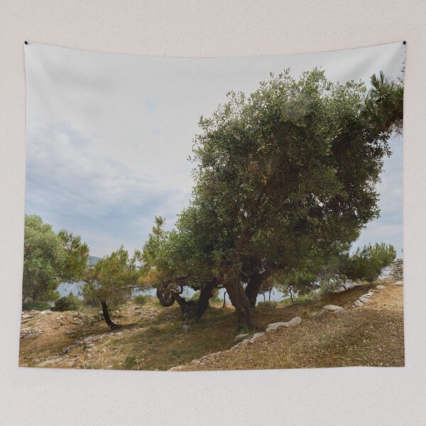 Item preview, Olive trees by the ruins. Thassos 2023 9 designed and sold by Jouko Lehto Photography.