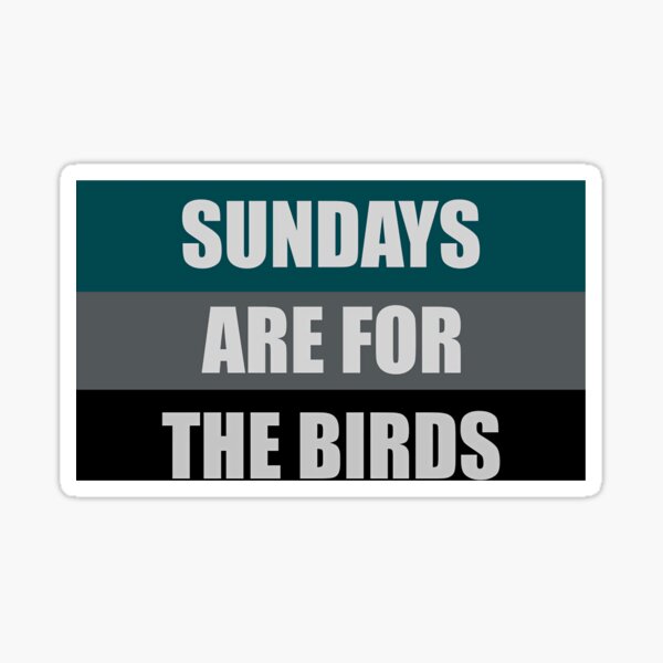 Philadelphia Football Shirt, Philadelphia Eagles Shirt, Sundays are for the Birds  Shirt, Bird Gang Football Sunday Shirt - Cherrycatshop