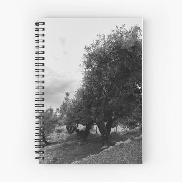 Item preview, Olive trees by the ruins. Thassos 2023 10 bw designed and sold by Jouko Lehto Photography.