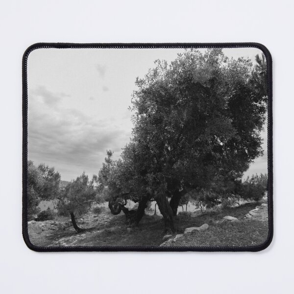 Item preview, Olive trees by the ruins. Thassos 2023 10 bw designed and sold by Jouko Lehto Photography.