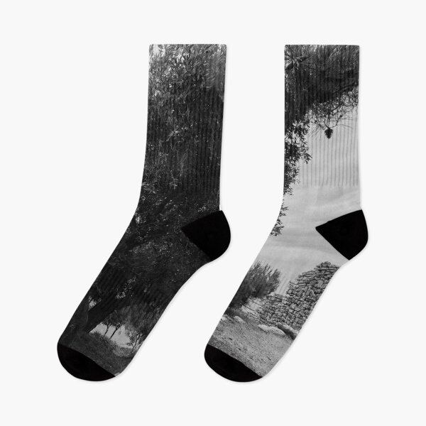 Item preview, Olive trees by the ruins. Thassos 2023 10 bw designed and sold by Jouko Lehto Photography.
