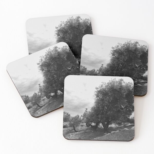 Item preview, Olive trees by the ruins. Thassos 2023 10 bw designed and sold by Jouko Lehto Photography.