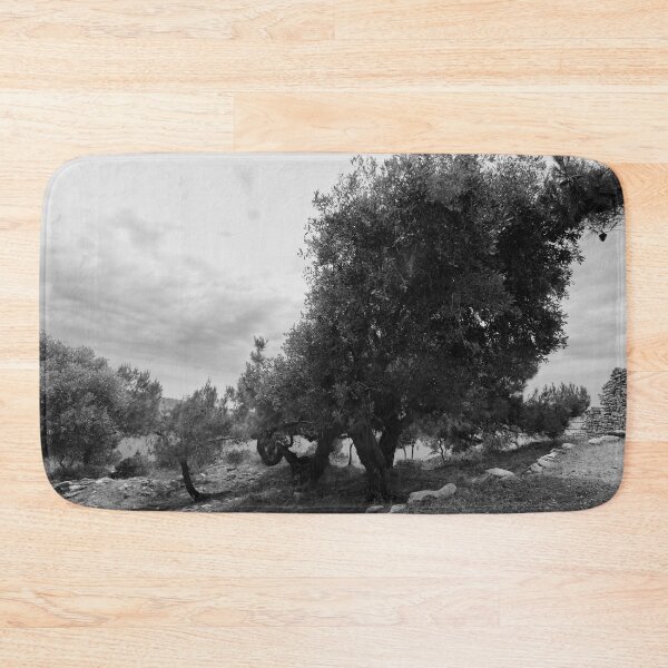 Item preview, Olive trees by the ruins. Thassos 2023 10 bw designed and sold by Jouko Lehto Photography.
