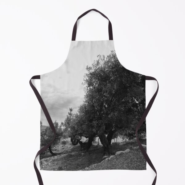 Item preview, Olive trees by the ruins. Thassos 2023 10 bw designed and sold by Jouko Lehto Photography.