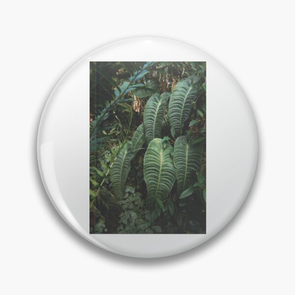 Item preview, Anthurium veitchii at Kew Gardens - September 2020 designed and sold by monty-korn.
