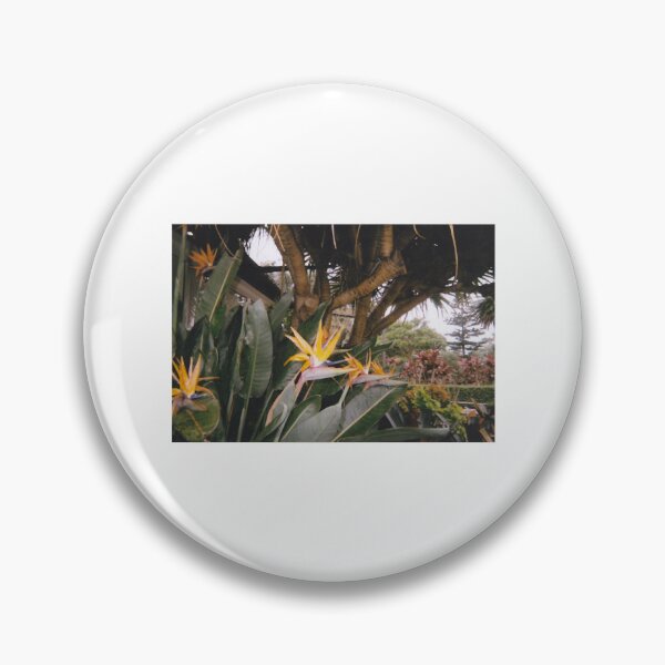 Item preview, Birds of Paradise designed and sold by monty-korn.