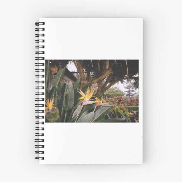 Item preview, Birds of Paradise designed and sold by monty-korn.