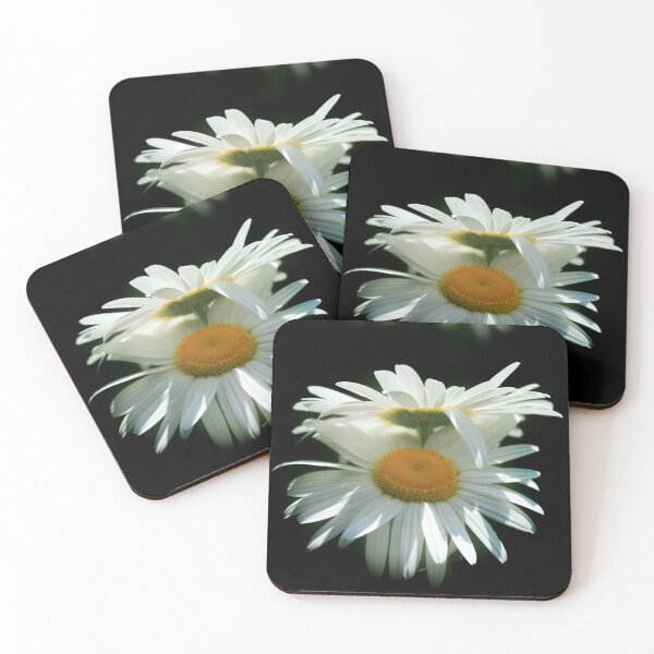 Item preview, White chamomiles on black background designed and sold by olena2552.