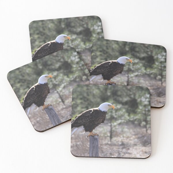 Item preview, Needing a Bigger Perch designed and sold by Alyce Taylor.