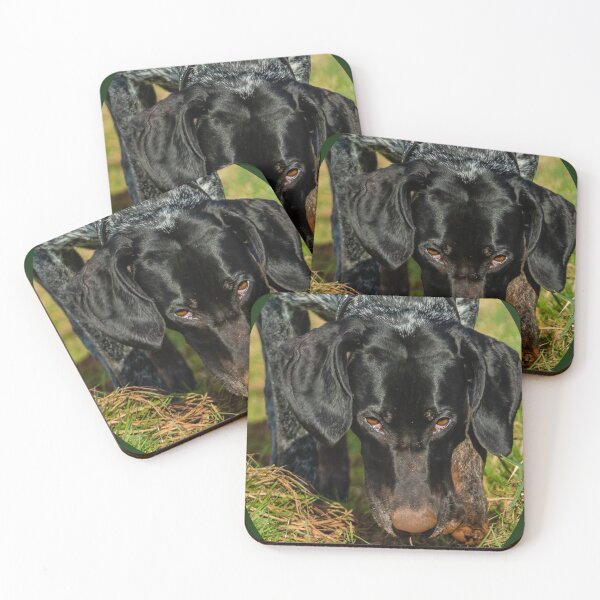 Item preview, GSP Puppy Who Me? designed and sold by Dalyndigital Photography.