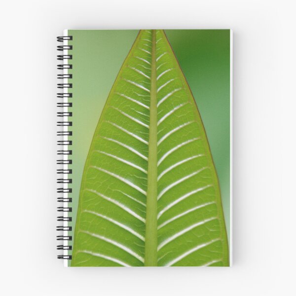 Item preview, FRANGIPANI LEAF designed and sold by Claire Elsworth.